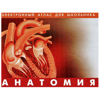 Анатомия. (Цифровой атлас школьника) - «globural.ru» - Абинск