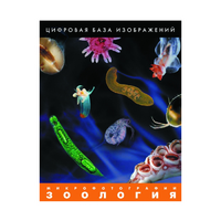 Зоология. Микрофотографии. (Цифровая база изображений) - «globural.ru» - Абинск