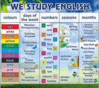 Стенд "We study english" - «globural.ru» - Абинск