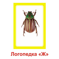 Логопедка "Ж" (логопедические карточки) - «globural.ru» - Абинск
