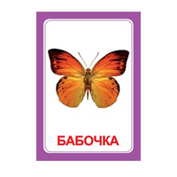 Логопедка "Ч" (логопедические карточки) - «globural.ru» - Абинск