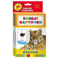 Карточки Домана "Животные" - «globural.ru» - Абинск