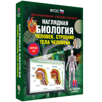 Наглядная биология. Человек. Строение тела человека - «globural.ru» - Абинск