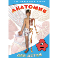 DVD  Анатомия для детей - «globural.ru» - Абинск