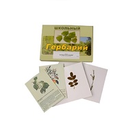 Гербарий "Деревья и кустарники" (22 вида, с иллюстрациями) - «globural.ru» - Абинск