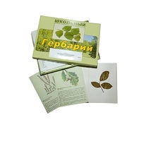 Гербарий "Дикорастущие растения" (30 видов, с иллюстрациями) - «globural.ru» - Абинск