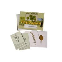 Гербарий "Лекарственные растения" (22 вида, с иллюстрациями) - «globural.ru» - Абинск