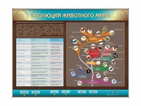 Интерактивный электрифицированный стенд "Эволюция животного мира" - «globural.ru» - Абинск
