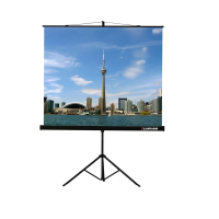 Проекционный экран на штативе Lumien Eco View (LEV-100105) 160x160 см - «globural.ru» - Абинск