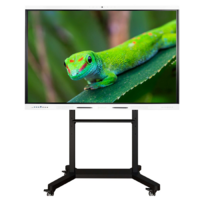 Интерактивный комплекс Geckotouch ​​​​​​​65RK - «globural.ru» - Абинск