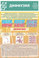 Стенд "Диффузия" - «globural.ru» - Абинск
