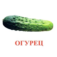 Карточки Домана "Овощи-Зелень-1" - «globural.ru» - Абинск