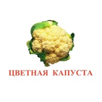 Карточки Домана "Овощи-Зелень-2" - «globural.ru» - Абинск