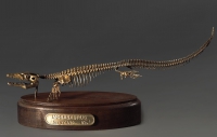 Модель скелета мозазавра Mosasaurus - «globural.ru» - Абинск