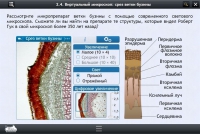 Интерактивные курсы. Биология 5 класс. Расширенный - «globural.ru» - Абинск