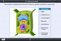 Интерактивные курсы. Биология 9 класс. Базовый - «globural.ru» - Абинск