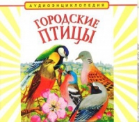 CD "Аудиоэнциклопедия. Городские птицы" - «globural.ru» - Абинск