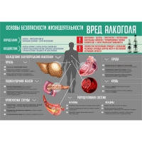 Стенд "Алкоголь" - «globural.ru» - Абинск