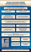 Электрифицированный стенд-тренажер "Этапы оказания первой реанимационной помощи" - «globural.ru» - Абинск