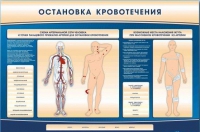 Электрифицированный стенд-тренажер "Остановка кровотечения" - «globural.ru» - Абинск