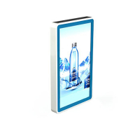 Видеопанель PROMO WALL 55 - «globural.ru» - Абинск