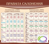 Стенд "Правила склонения" - «globural.ru» - Абинск