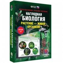 Наглядная биология. Растение - живой организм - «globural.ru» - Абинск
