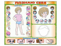 Стенд маркерный "Познаю себя" (тело, голова, органы чувств) - «globural.ru» - Абинск