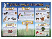 Стенд-уголок "Друзья наши меньшие" - «globural.ru» - Абинск