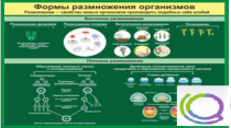 Стенд "Формы размножения организмов" - «globural.ru» - Абинск