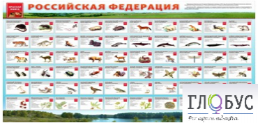 Стенд "Красная книга РФ" - «globural.ru» - Абинск