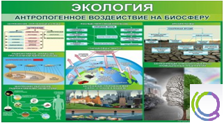 Стенд "Экология. Антропогенное воздействие на биосферу" - «globural.ru» - Абинск