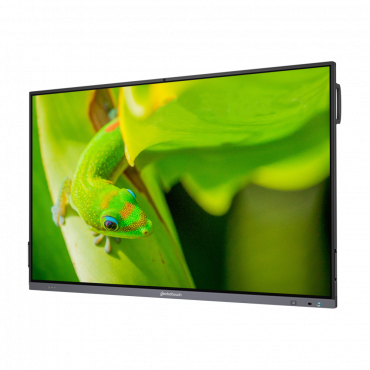Интерактивный программно-аппаратный комплекс Geckotouch Interactive IP86GT-С  в комплекте с настенным креплением - «globural.ru» - Абинск